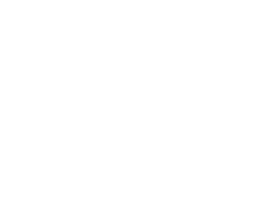 Argex